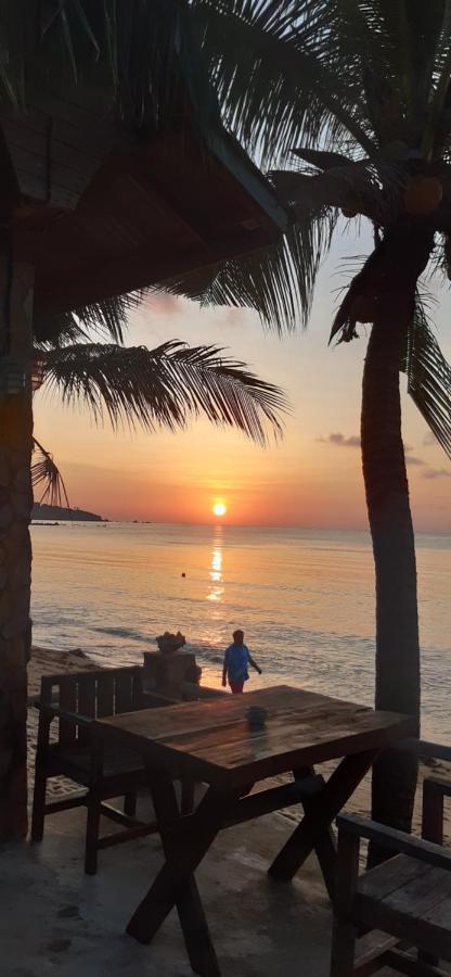 Beer'S House Bungalows เบียร์เฮ้าส์บังกะโล Ban Lamai Eksteriør billede
