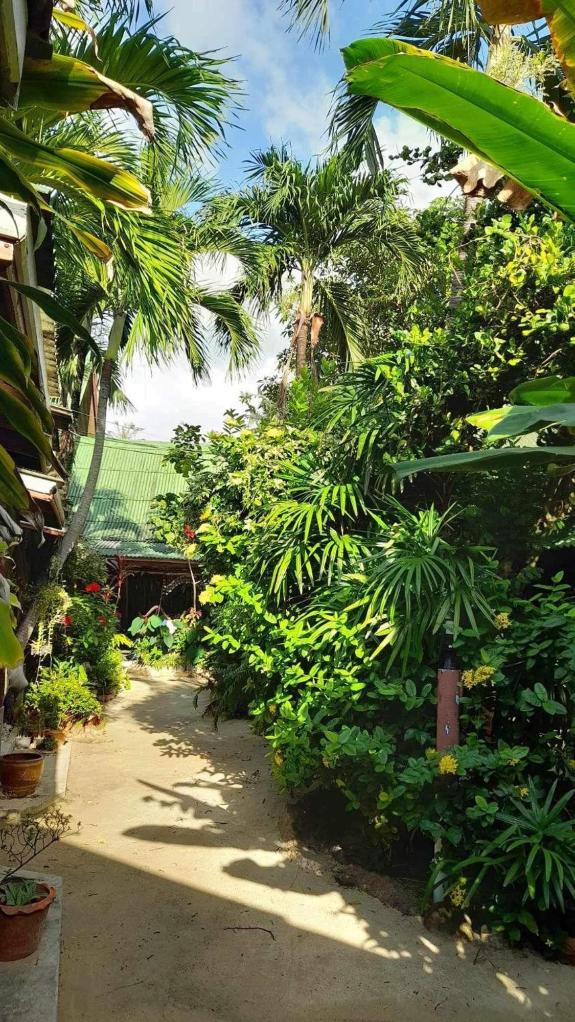 Beer'S House Bungalows เบียร์เฮ้าส์บังกะโล Ban Lamai Eksteriør billede
