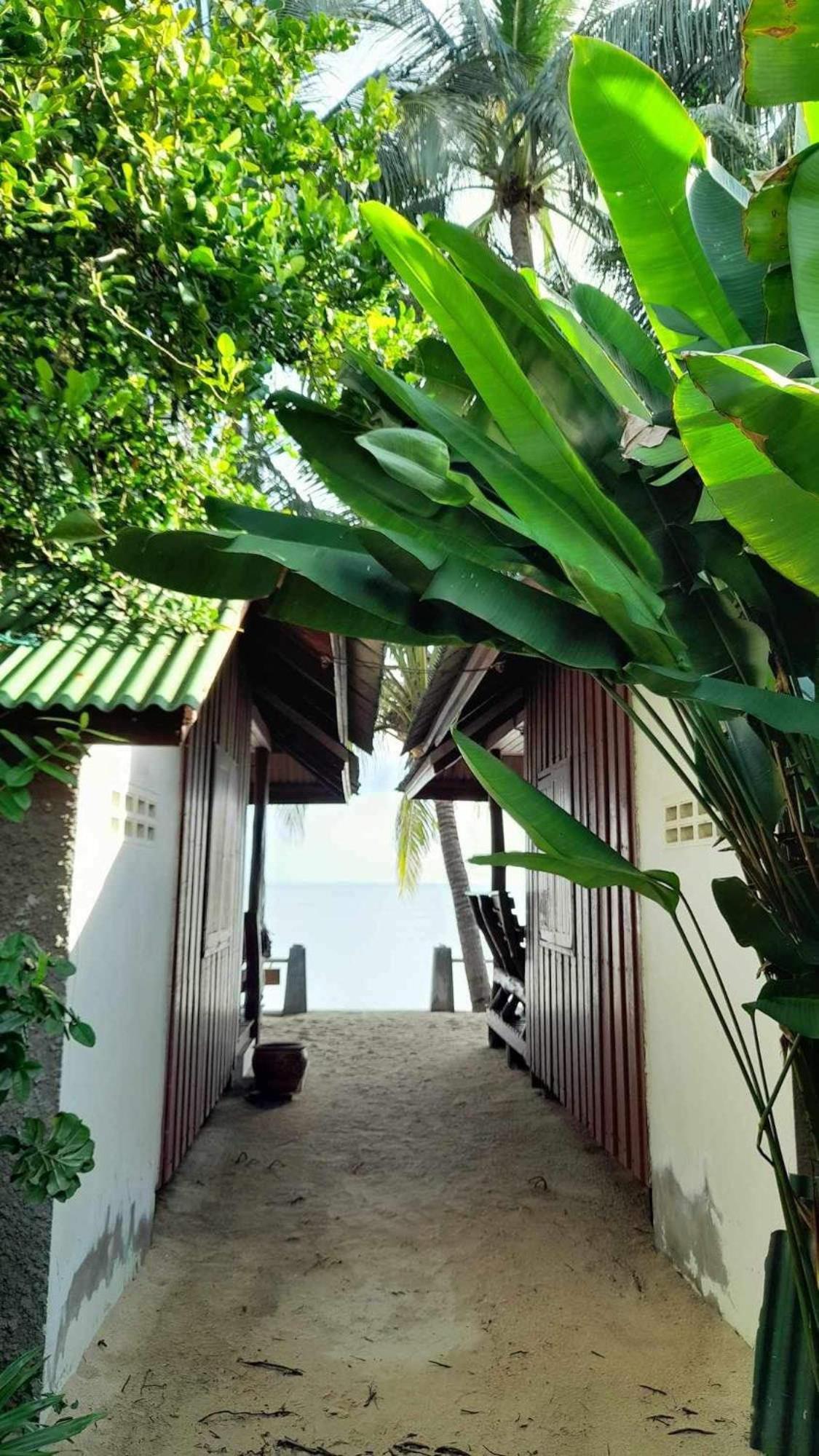 Beer'S House Bungalows เบียร์เฮ้าส์บังกะโล Ban Lamai Eksteriør billede