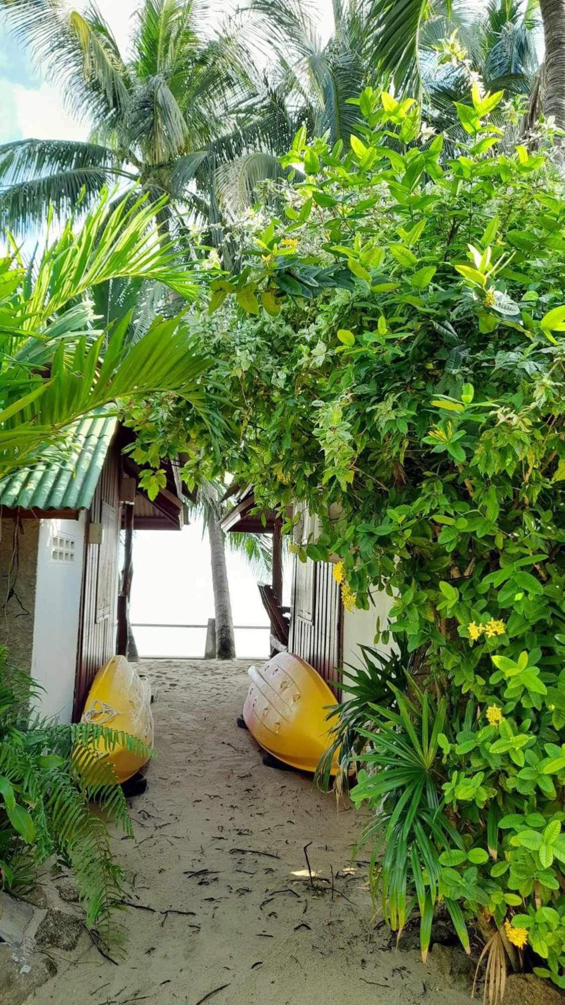 Beer'S House Bungalows เบียร์เฮ้าส์บังกะโล Ban Lamai Eksteriør billede